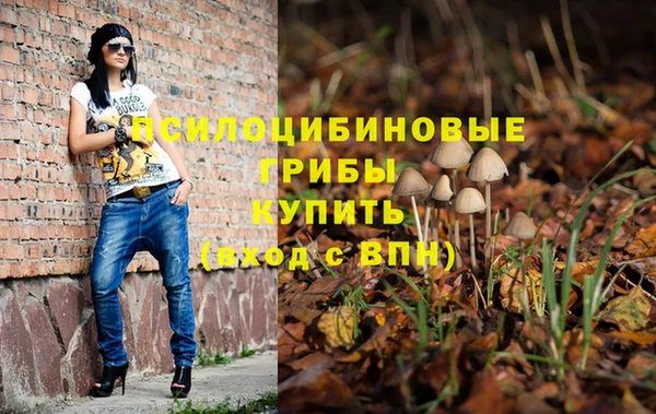 прущие крисы Краснотурьинск