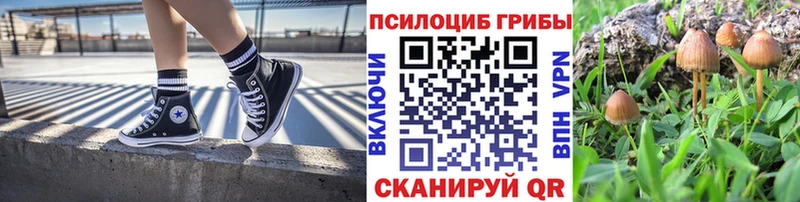 Галлюциногенные грибы ЛСД  Купить закладки  Донской 