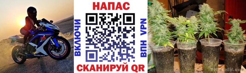 Каннабис Bruce Banner  Купить закладки  Донской 